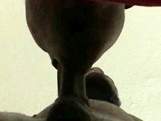 gay guy cums on ass while sucking