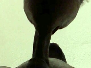 gay guy cums on ass while sucking