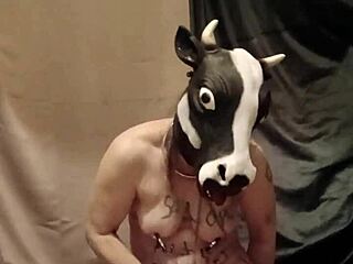 man, i got humiliated as slave f with anal toys on 04/18/2025