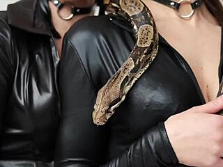 Roxy Fox Gives Intense Femdom Handjob Tutorial!