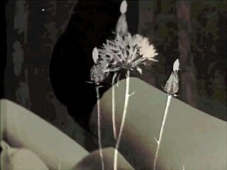 taking a wild ride into vintage threesome pornography world