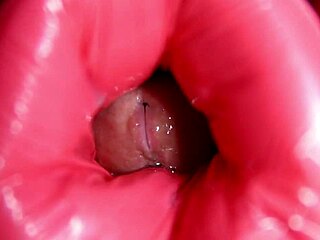 Dinosaur anal, man, maine galti ki par woh toy ne mujhe zor se rocked!