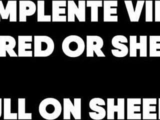पतली लडकी लिंगरी में इंटेंस एनल गेपिंग फील करती है