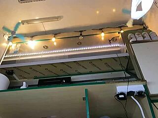 Error: Invalid ID, skipping.