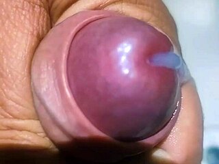 Error: Invalid ID, skipping.