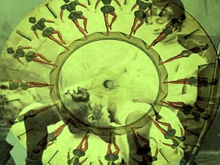 Vintage Old Pornography Collection