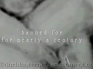 Dark Lantern Presents Vintage Swingers From My Secret Life