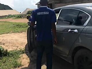 the cheap sloth i picked from the road was offered to my homie to handle