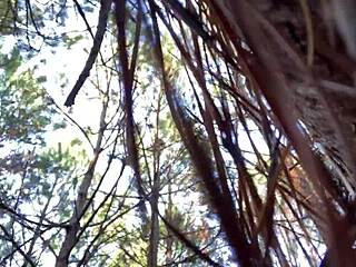 Clitlicker662 - Update 23 - Img 1265 - Dec 12 2024