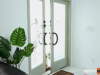 हर्लो वेस्ट जोडी जॉनसन स्टेपसिबलिंग चुदाई लीवरेज