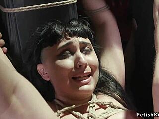 Pawg babe dp banged in bondage