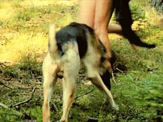 ब्यूटी एंड द बीस्ट पैरोडी