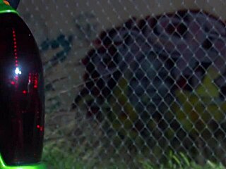 blonde milf carmen luvana in outdoor scene