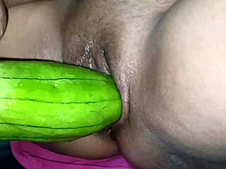 इस क्रिसमस सीजन ने सबको खुशी और चीयर दिया