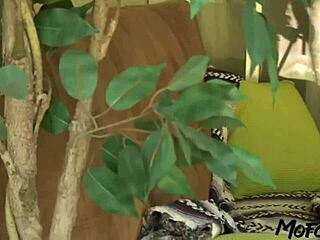 Blonde Milf Fucks Stepdaughter's Boyfriend