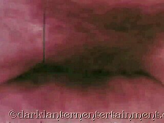 What erotic confessions does Dark Lantern Entertainment reveal from a Victorian gentleman?