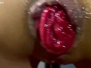 Master, why humiliate slave Monika Fox with pee and hard ass fucking to prolapse?