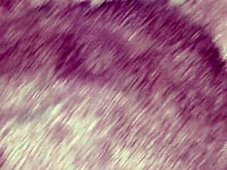 i fuck my stepsister riding cowgirl when parents are away