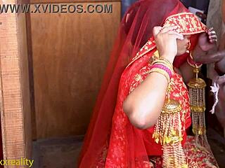 अरे हिंदी देसी एक्शन बड़ी गांड ब्लोजॉब और मॉमी की वेट टाइट चूत टीजिंग चाहिए?