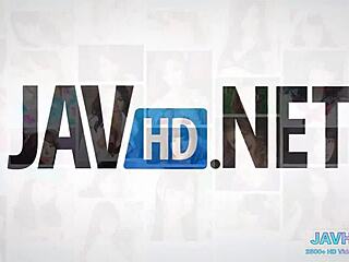 explore this japanese compilation with asian models showing hairy pussies in high definition?