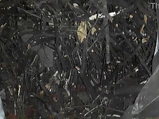 गांव की लड़की ठंडे खलिहान में जोरदार मुठ मारती ऑर्गेज्म रिलीज