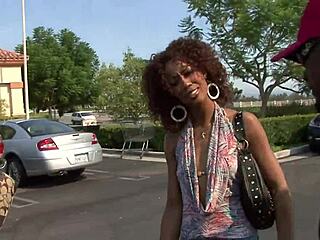 melrose foxx dives into black adventures with anal fingering and deepthroat in lingerie