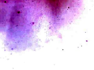 Petite Big Tits Latina Takes Hard Missionary Creampie After School