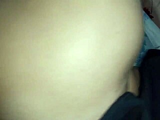 ककॉल्ड पड़ोसी देखो मुस्लिम बीवी को देसी गांडमारी बेयरबैक?