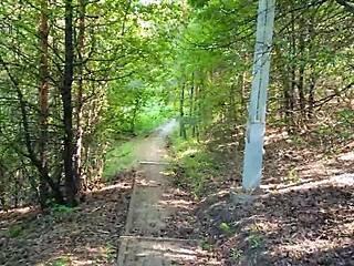 तेरा फोन व्लॉग पब्लिक पार्क क्विकी ब्लोजॉब रिस्क में बदल गया