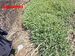 खेत में पब्लिक रिस्की चुदाई क्रिम्पाई और ऑर्गेज़्म के साथ