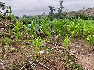 रैंच पर इंटेंस फार्म चुदाई पार्ट 2