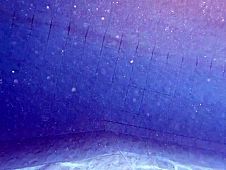 pool fun... flower tu daddy licks juicy ebony pussy 💦👅