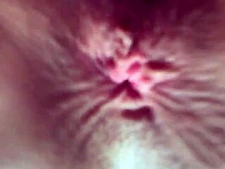 रशियन क्यूटी मिनी स्कर्ट स्टॉकिंग्स में टाइट गांड डॉगी अस्य प्ले चोदो 😈🍑