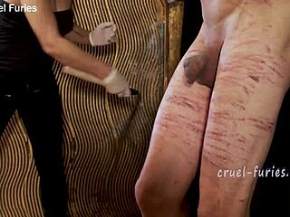 cruel blonde milf mistress brutally whips helpless guy's throbbing cock in bdsm pain fest