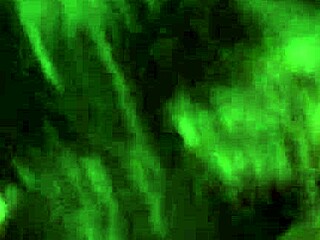 i suck his huge cock like crazy massive cumshot 💦😍