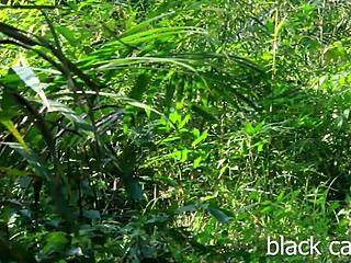 Heart pounds watching cute skinny ebony teen caught fucking monster bbc outdoors in bush.