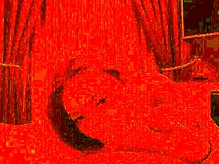 Monika Fox's homemade prolapse anal fisting with huge dildo and sloppy blowjob POV