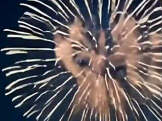 एशियन हसीना ग्रुप BBC से क्रीमपाई फेशियल लेती कम हर जगह!