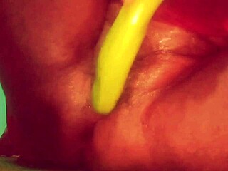 asian village chubby girl fucks herself with brinjal pov